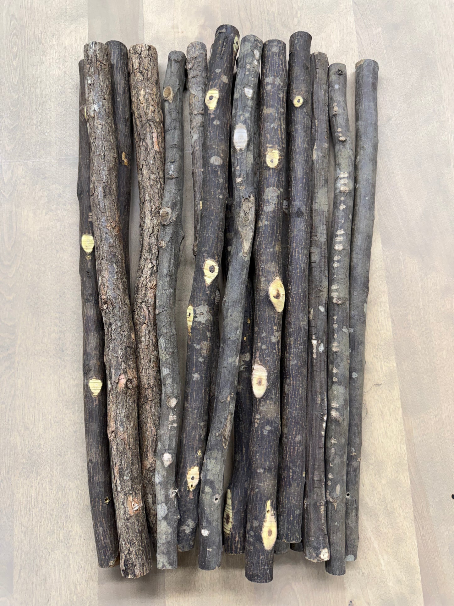 Broom Handles - Natural Ash 21"